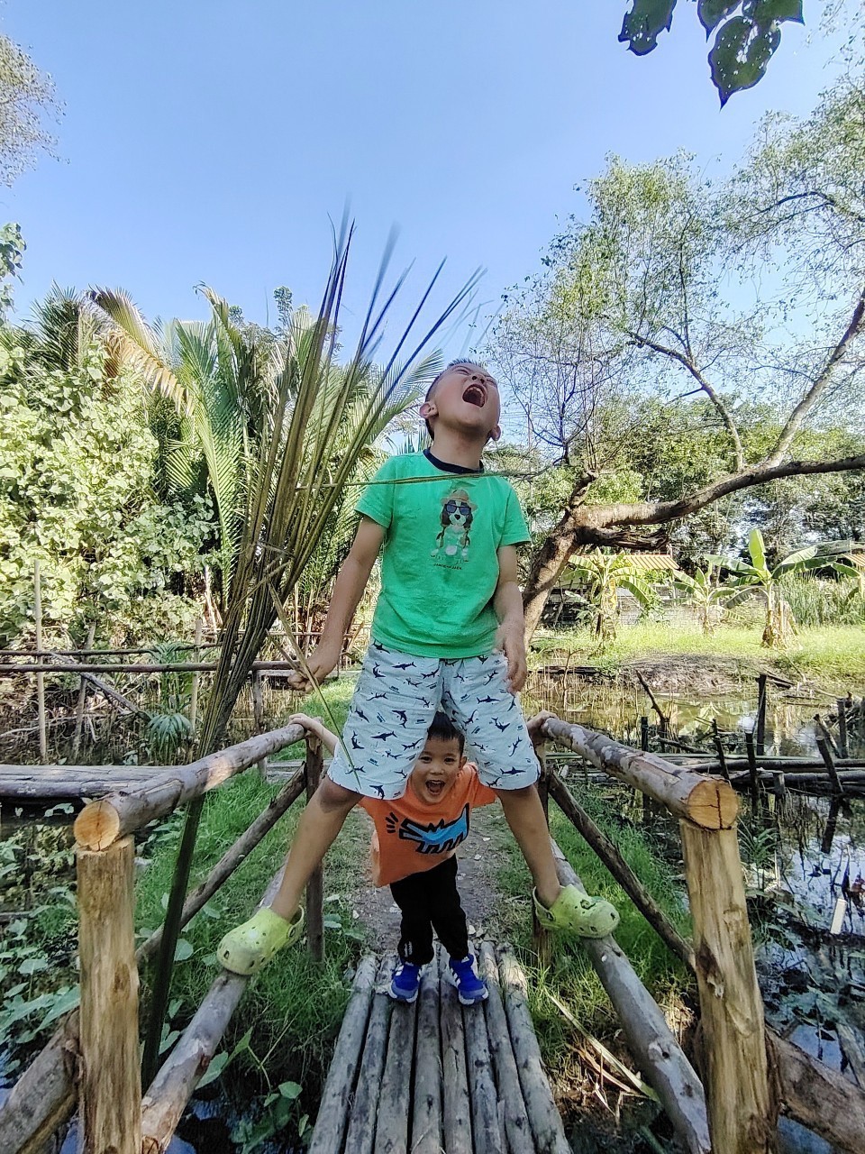 470239685_895810896086696_2047094832719428485_n